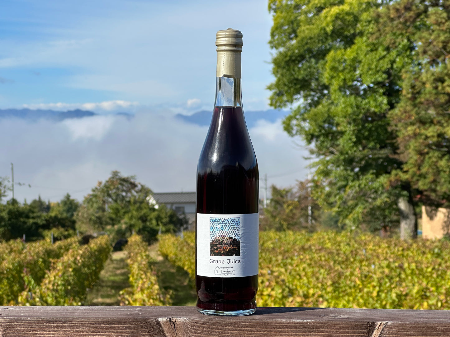 赤ワインぶどうのジュース