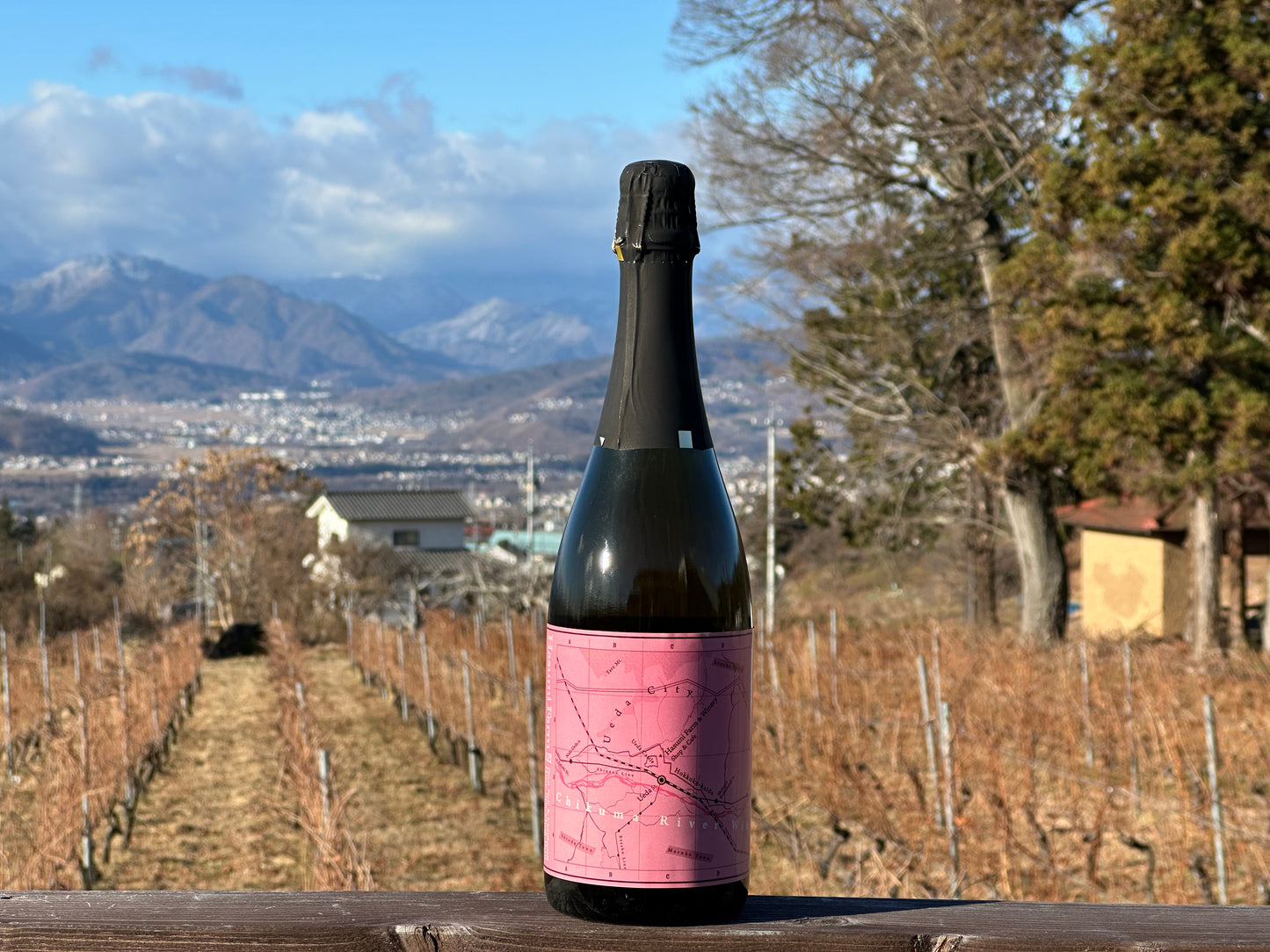 千曲川ワインバレーシリーズ ロゼスパークリング2021