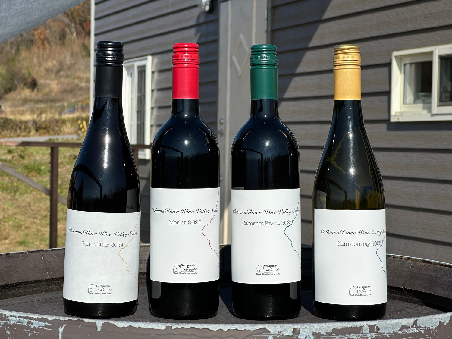 通常ラインナップ