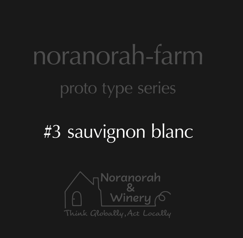 proto type series #3 sauvignon blanc【ワイナリー直販限定】