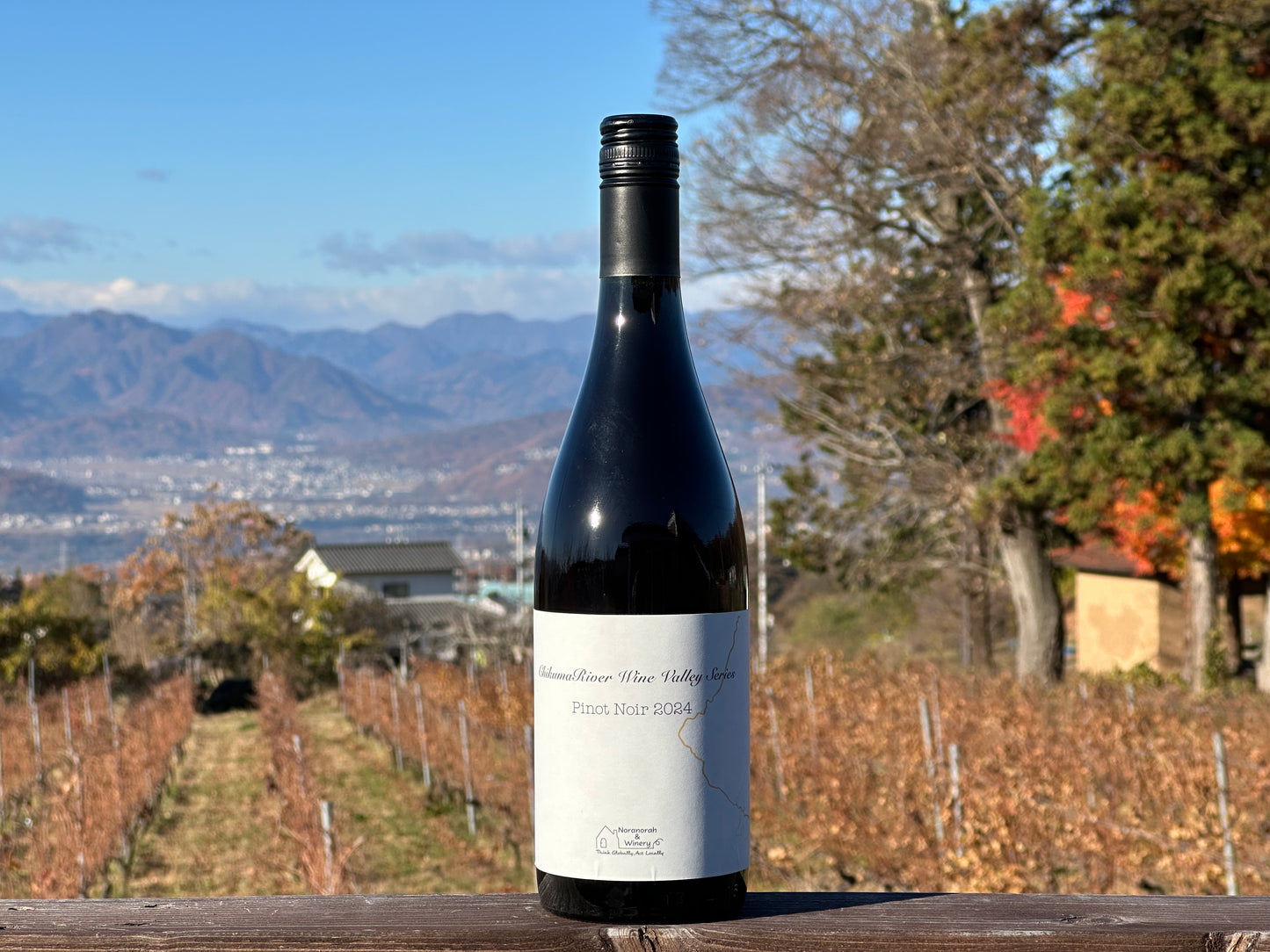 千曲川ワインバレーシリーズ　ピノ・ノワール2024