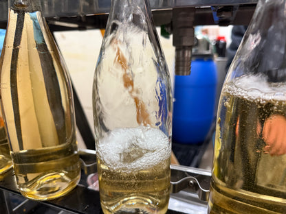 【事前予約】proto type series #1 luminous night【ワイナリー直販限定】