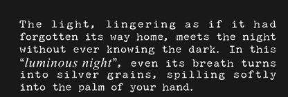 【事前予約】proto type series #1 luminous night【ワイナリー直販限定】