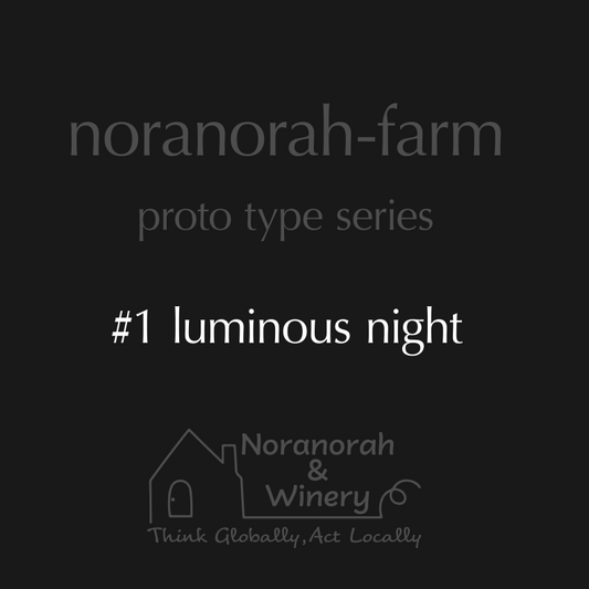 proto type series #1 luminous night【ワイナリー直販限定】